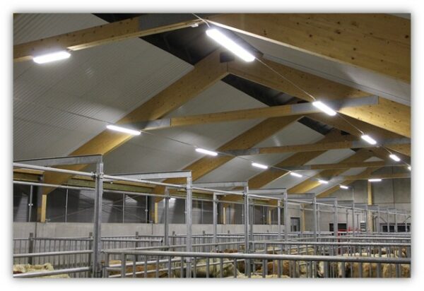 LED-Takarmatur 60W - Bild 4
